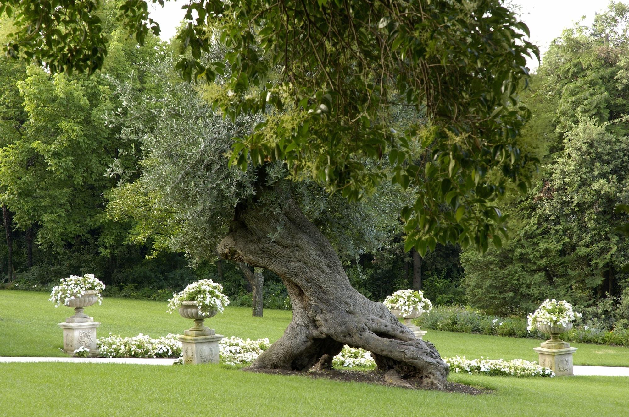 Byblos Art Hotel Villa Amistà San Pietro In Cariano Servizi foto